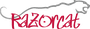 Razorcat Development GmbH Logo