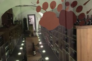 InsightdayMitgliederversammlung2019image36